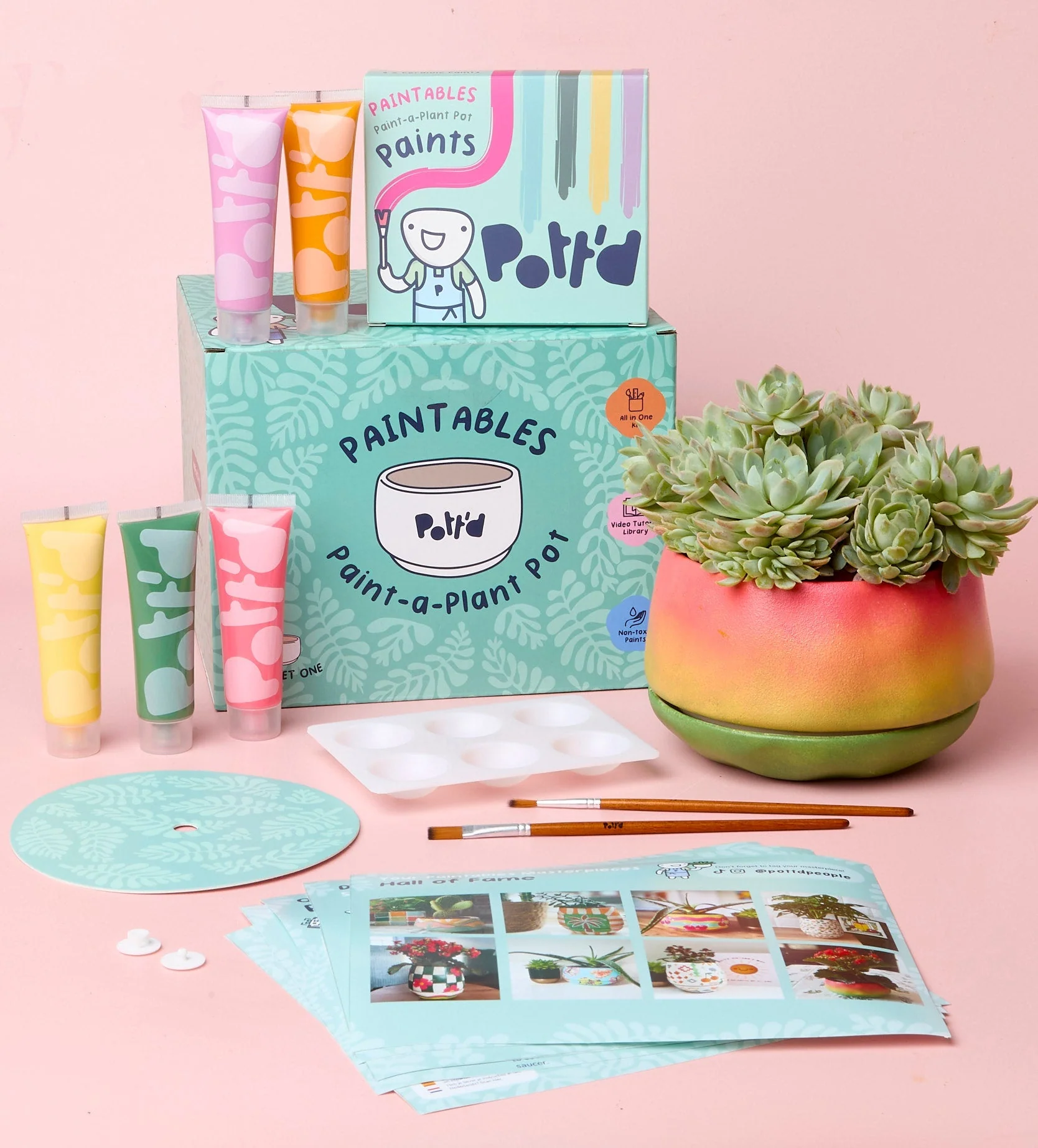 Paint-a-Plant Pot - Image 10