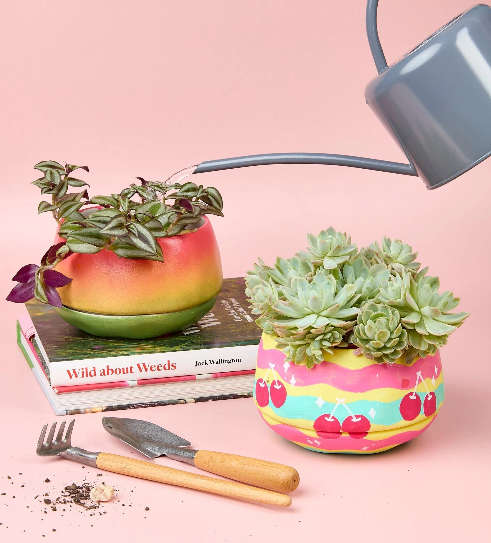 Paint-a-Plant Pot - Image 11