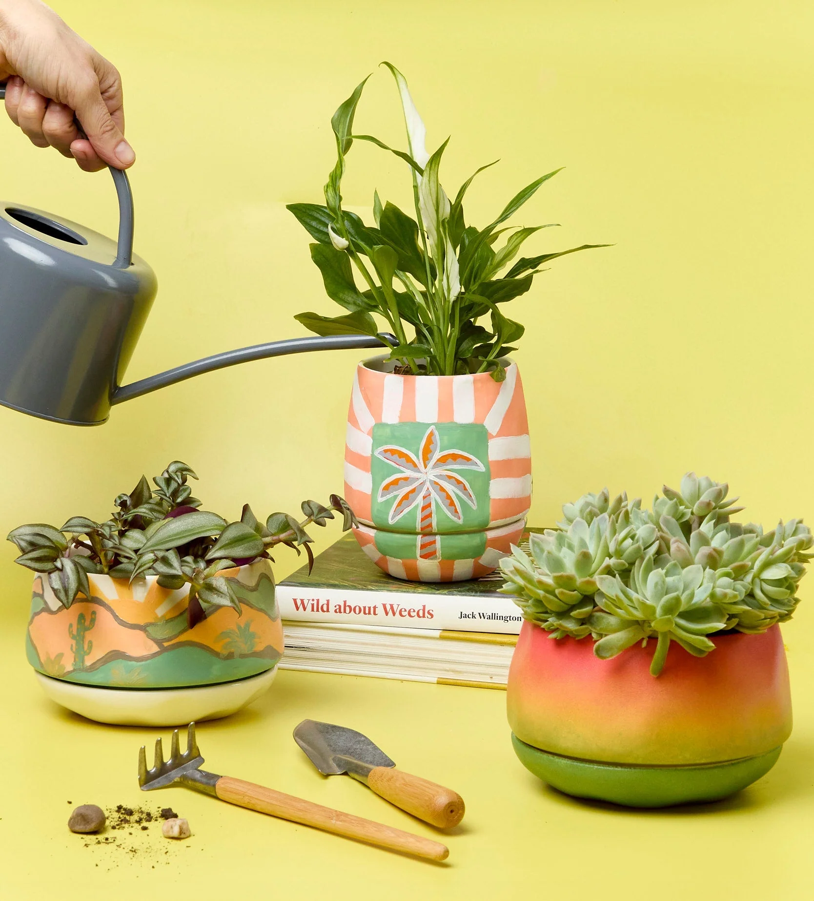 Paint-a-Plant Pot - Image 2